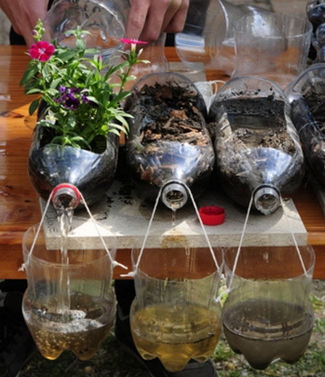 Three soda bottle plants with containers set up to catch water and soil in this example of 5th grade science