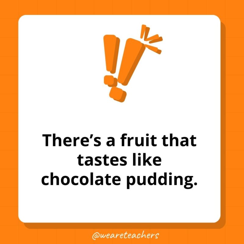 There's a fruit that tastes like chocolate pudding. - weird fun facts