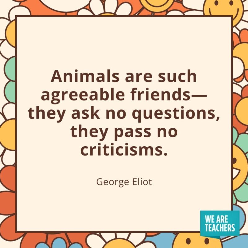 Animals are such agreeable friends—they ask no questions, they pass no criticisms. —George Eliot