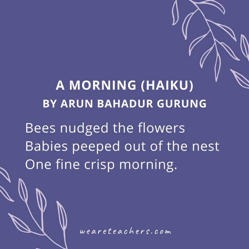 A Morning (Haiku) by Arun Bahadur Gurung “Bees nudged the flowers…” - Haiku Poems for Kids