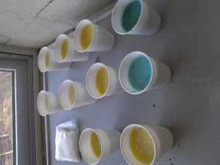 soap in cups for a high school science experiment 