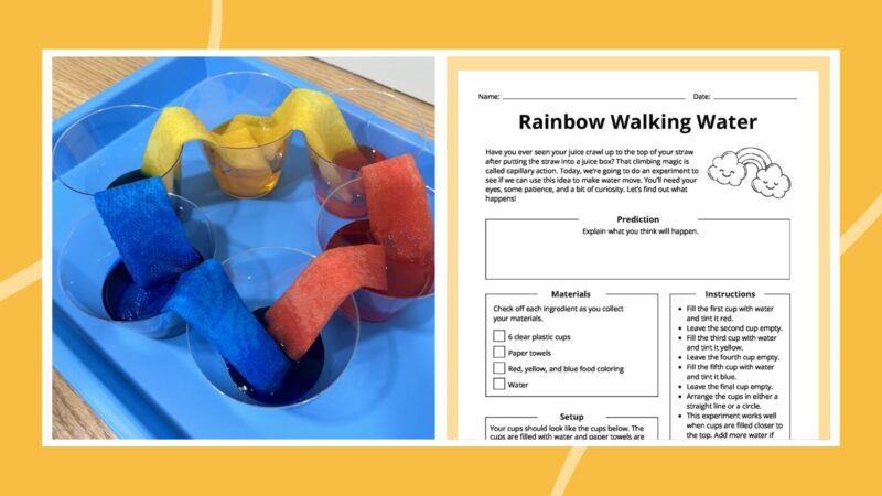 Rainbow Walking Water Experiment- St. Patrick's Day activities