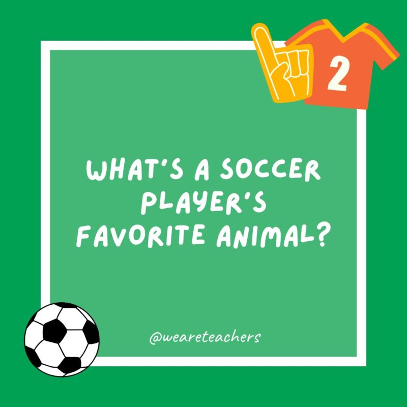 What’s a soccer player’s favorite animal? What’s a soccer player’s favorite animal?