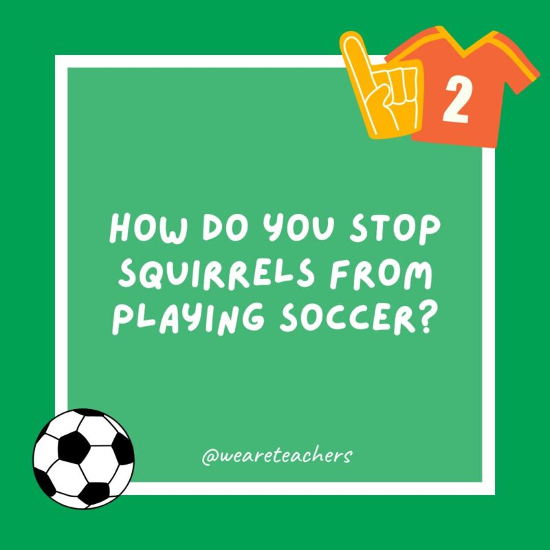 How do you stop squirrels from playing soccer? How do you stop squirrels from playing soccer?