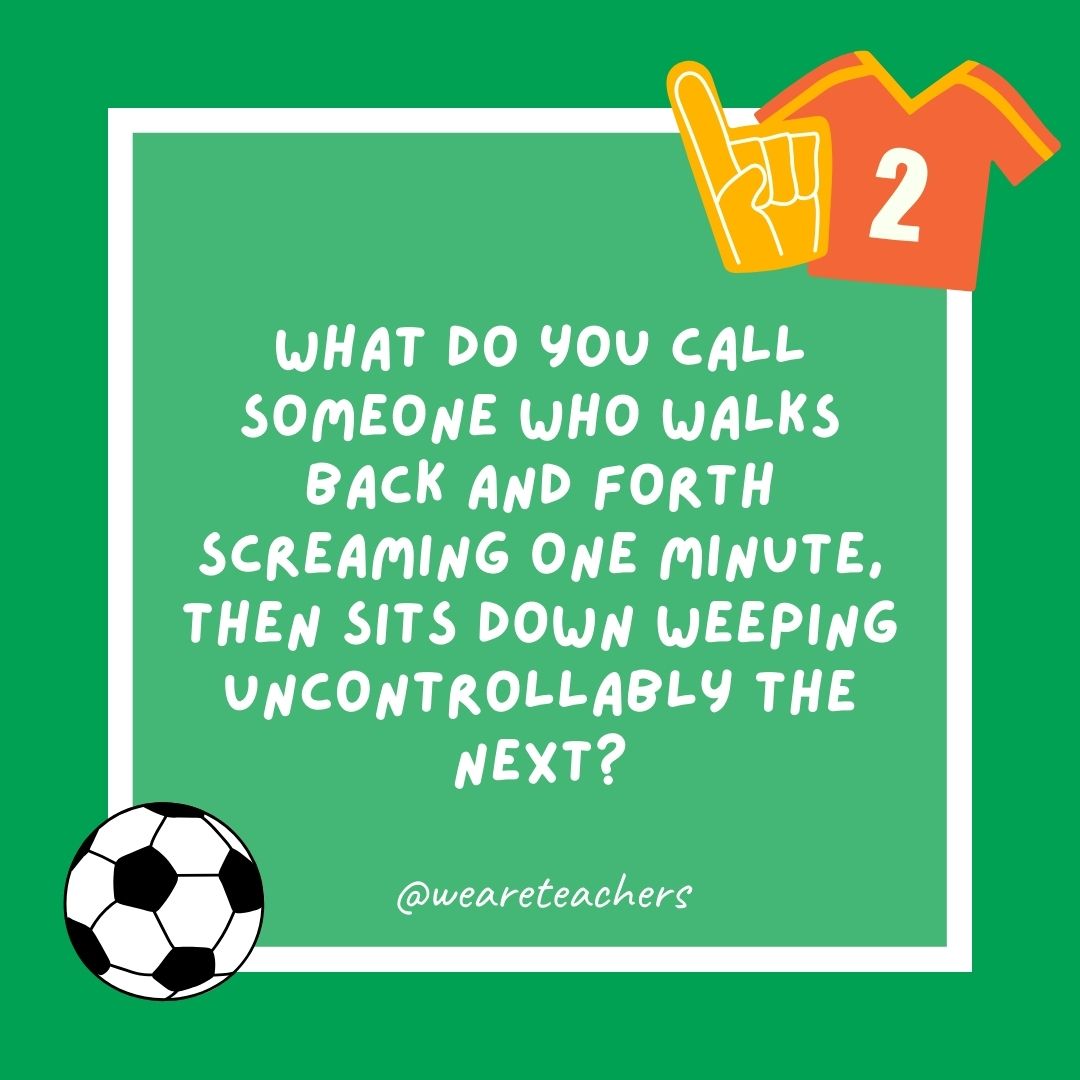 What do you call someone who walks back and forth screaming one minute, then sits down weeping uncontrollably the next? What do you call someone who walks back and forth screaming one minute, then sits down weeping uncontrollably the next?