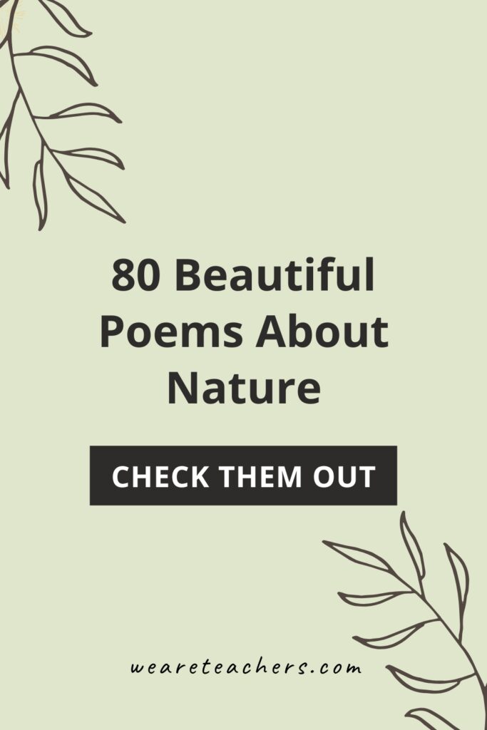 These beautiful poems about nature will inspire your students and are perfect for sharing in the classroom all year round.