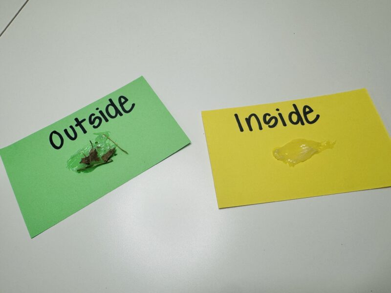 Two notecards labeled inside and outside, with some dirt on each