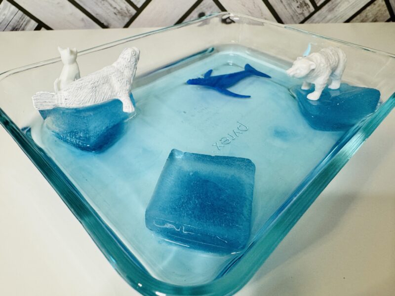 Two model polar bears floating on a small piece of ice in a plastic container 