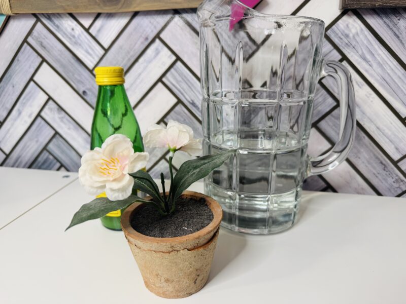 Glass measuring cup, glass jars, and bottle of lemon juice (Climate Change Activities)