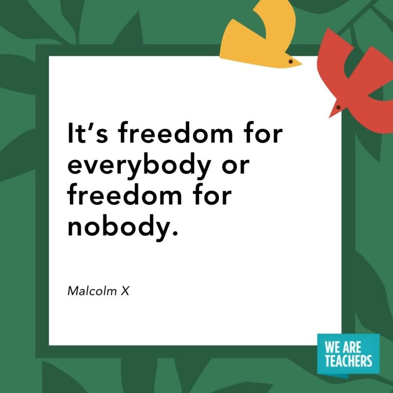 It’s freedom for everybody or freedom for nobody. — Malcolm X It’s freedom for everybody or freedom for nobody. — Malcolm X