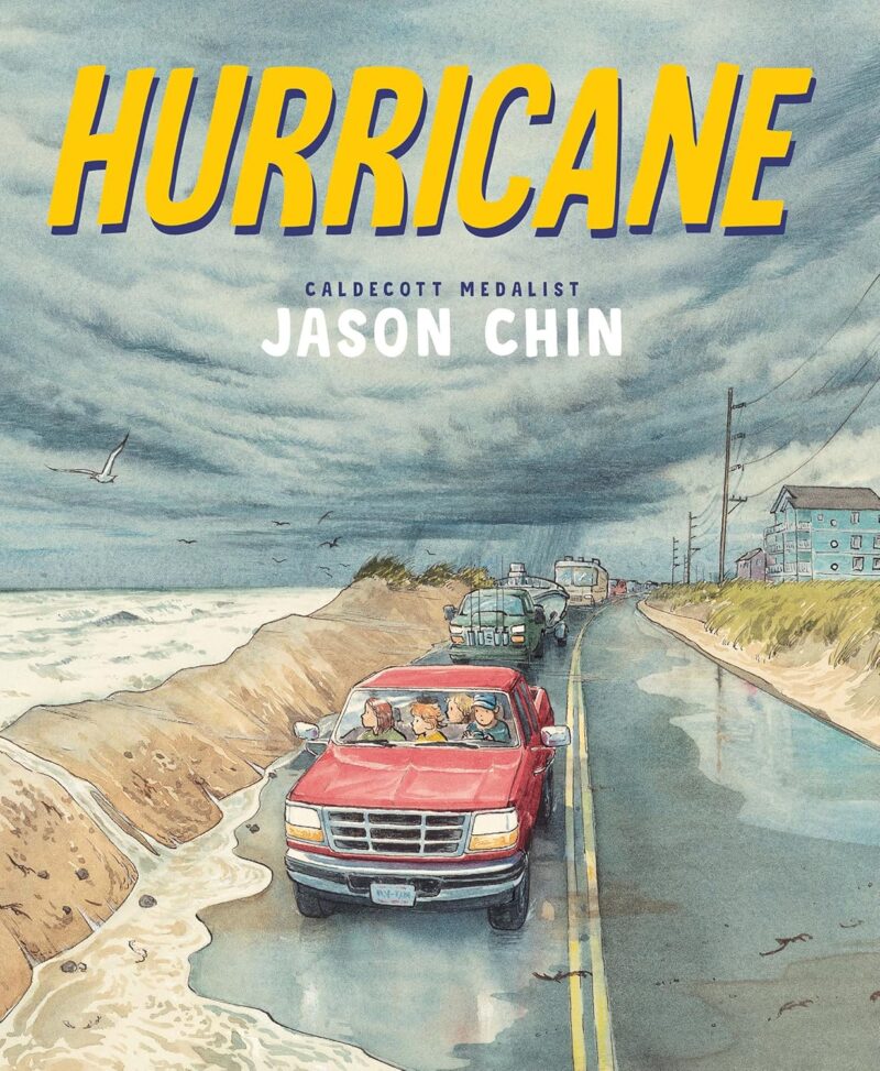 Hurricane book cover