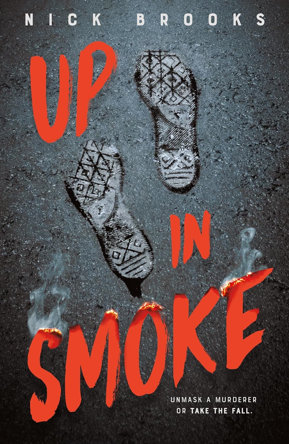 Up in Smoke book cover