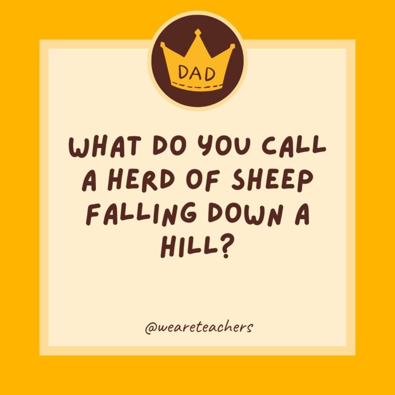 What do you call a herd of sheep falling down a hill? A lambslide.- dad jokes for kids