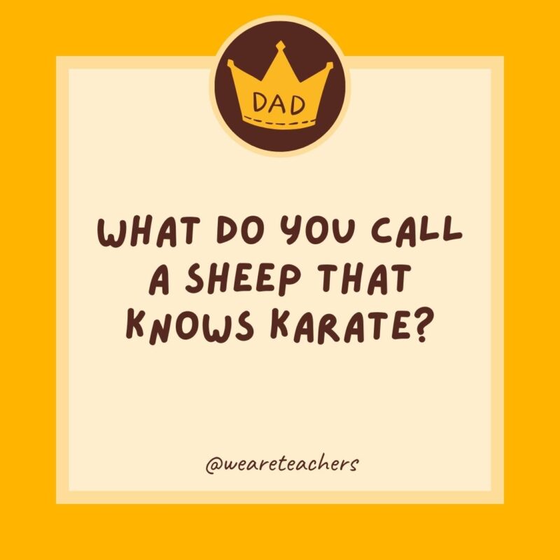 What do you call a sheep that knows karate? A lamb chop.