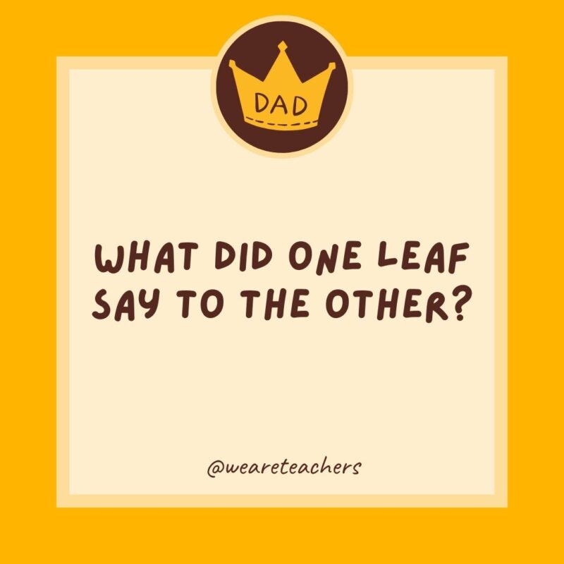 What did one leaf say to the other? I’m falling for you.