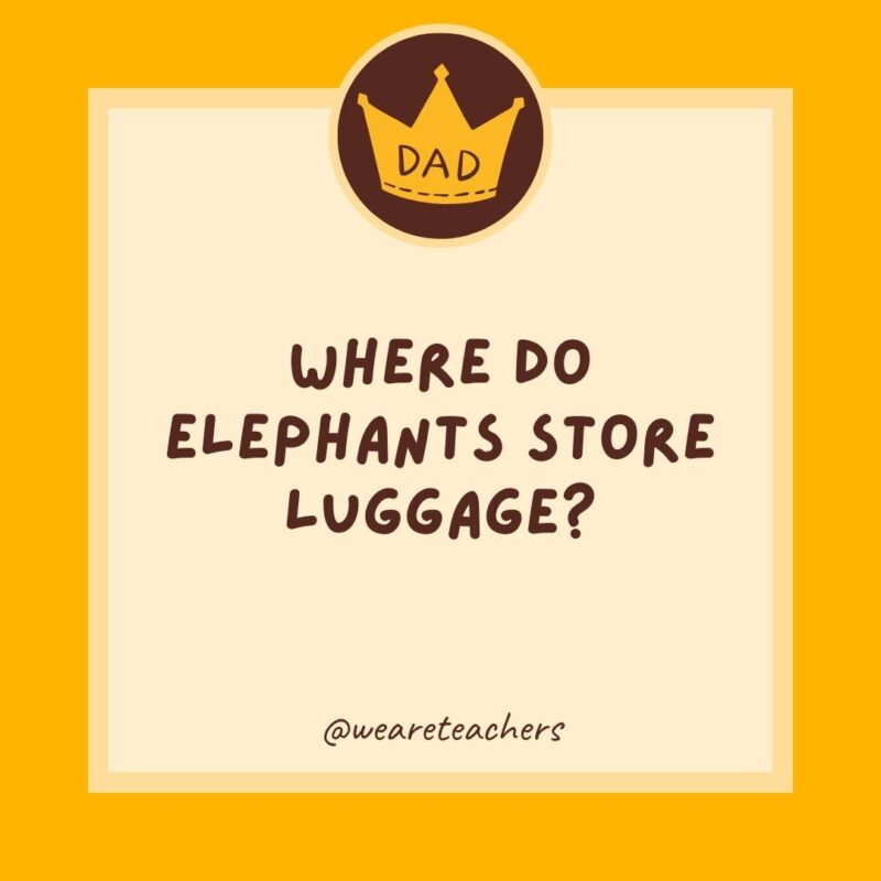 Where do elephants store luggage? In a trunk.- dad jokes for kids