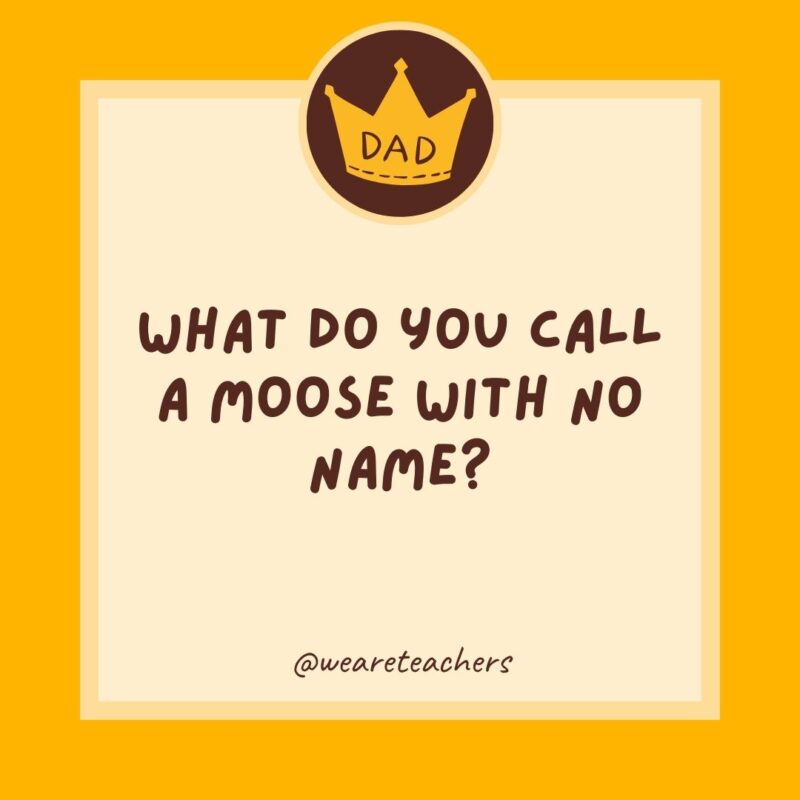 What do you call a moose with no name? Anonymoose.