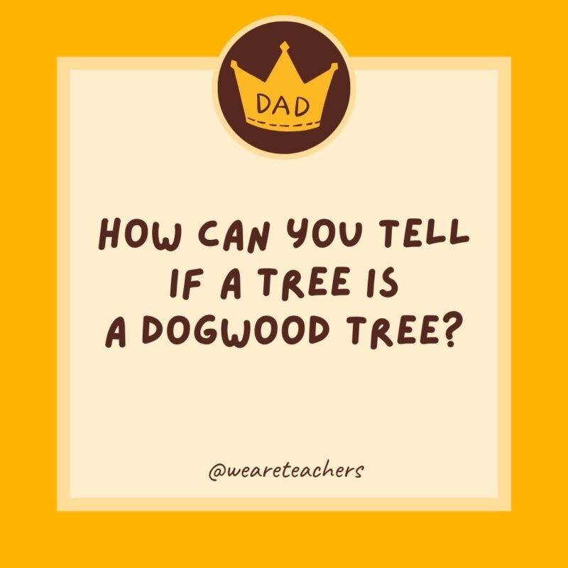 How can you tell if a tree is a dogwood tree?