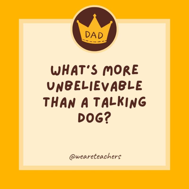 What’s more unbelievable than a talking dog? A spelling bee.