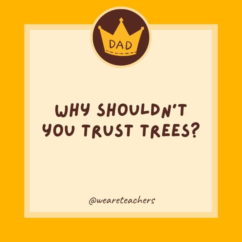 Why shouldn’t you trust trees? They seem shady.