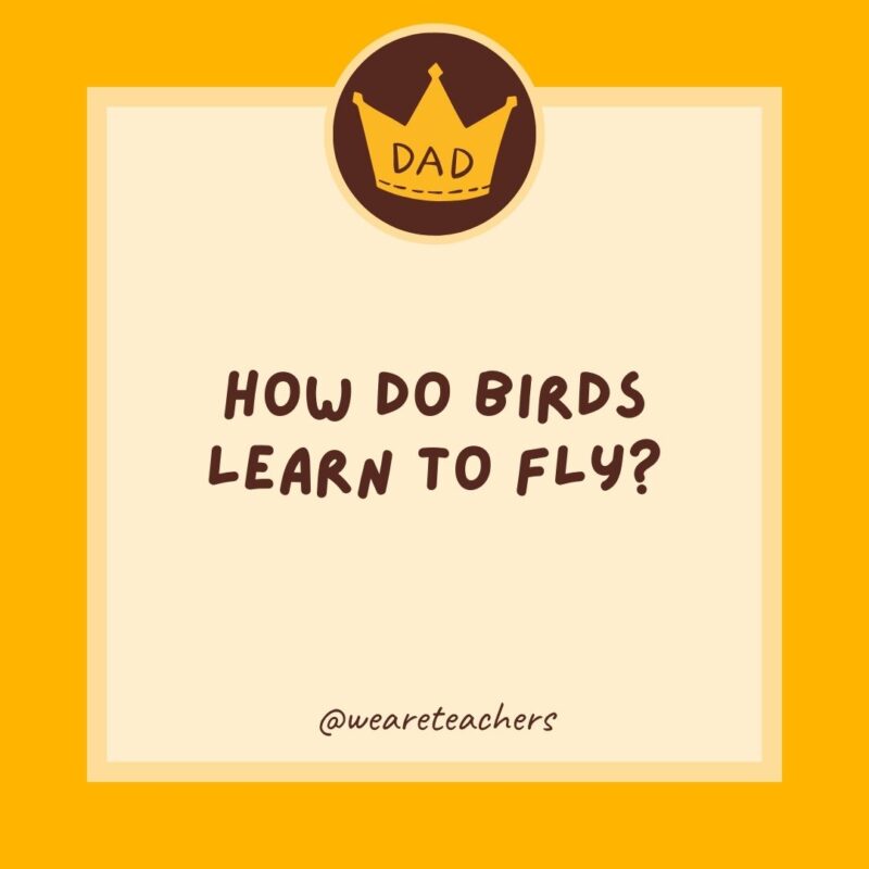 How do birds learn to fly? They wing it.