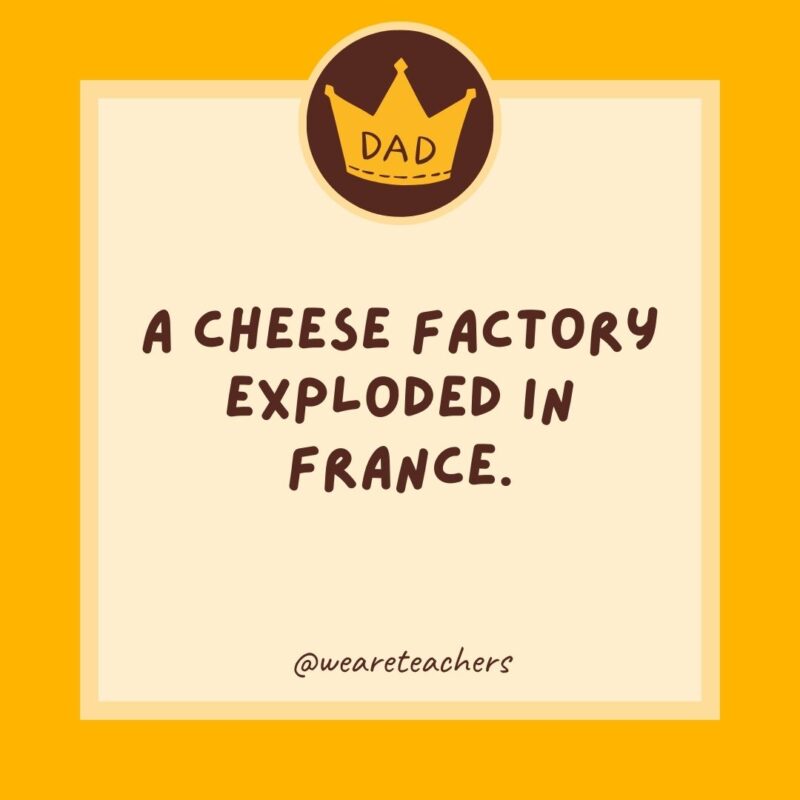 A cheese factory exploded in France. Da brie is everywhere!- dad jokes for kids