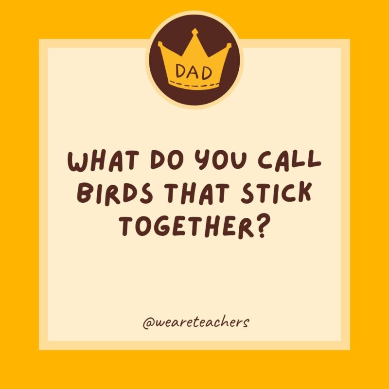 What do you call birds that stick together? Velcrows.