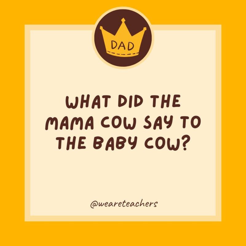 What did the mama cow say to the baby cow? It’s pasture bed time.- dad jokes for kids