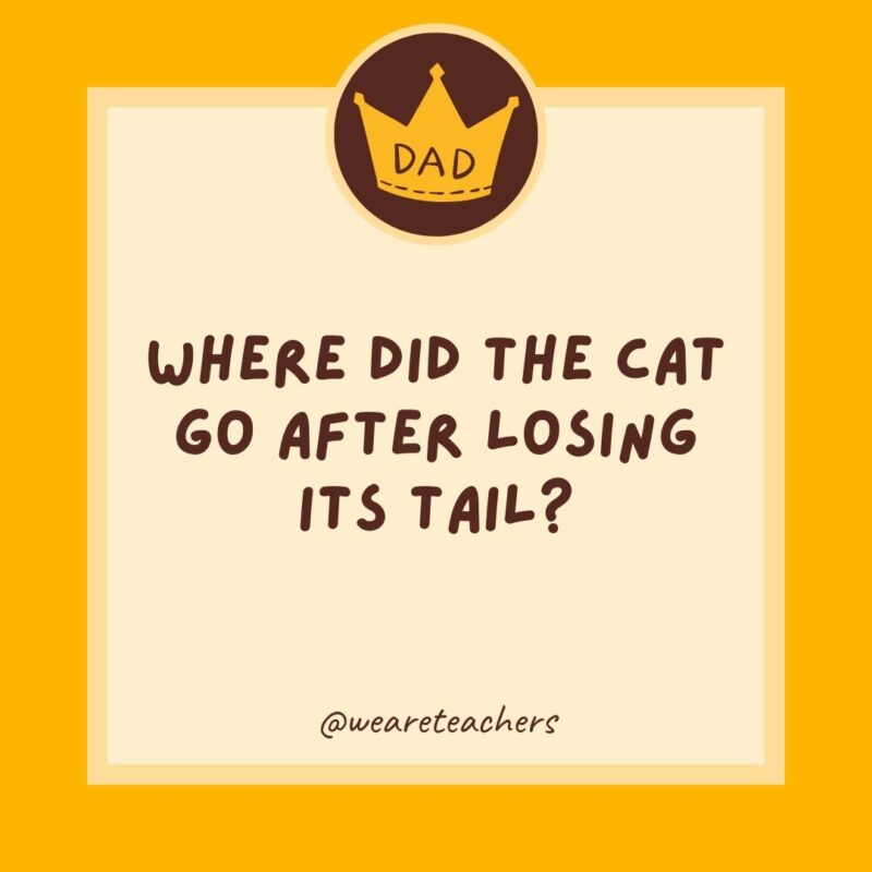 Where did the cat go after losing its tail? The retail store.- dad jokes for kids- dad jokes for kids