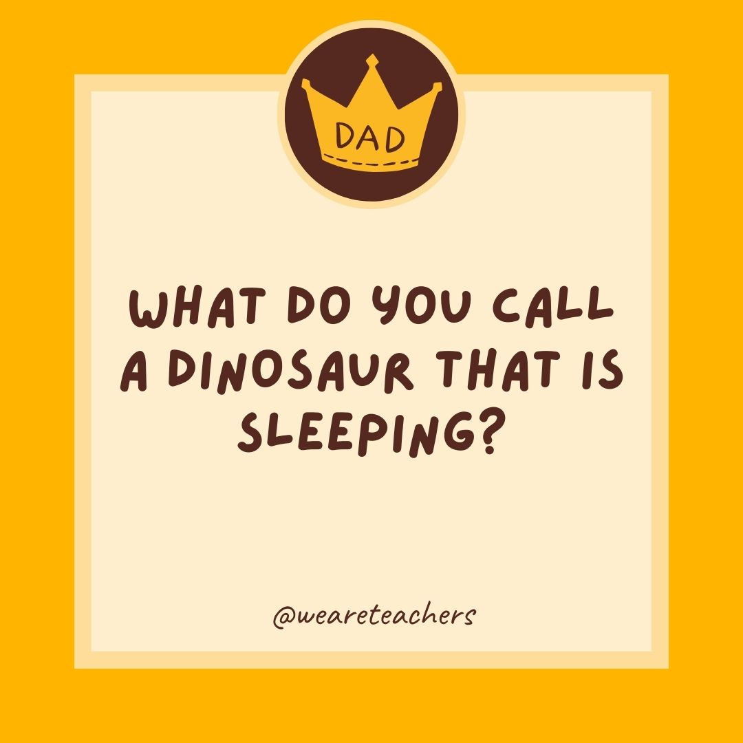 What do you call a dinosaur that is sleeping?
- dad jokes for kids