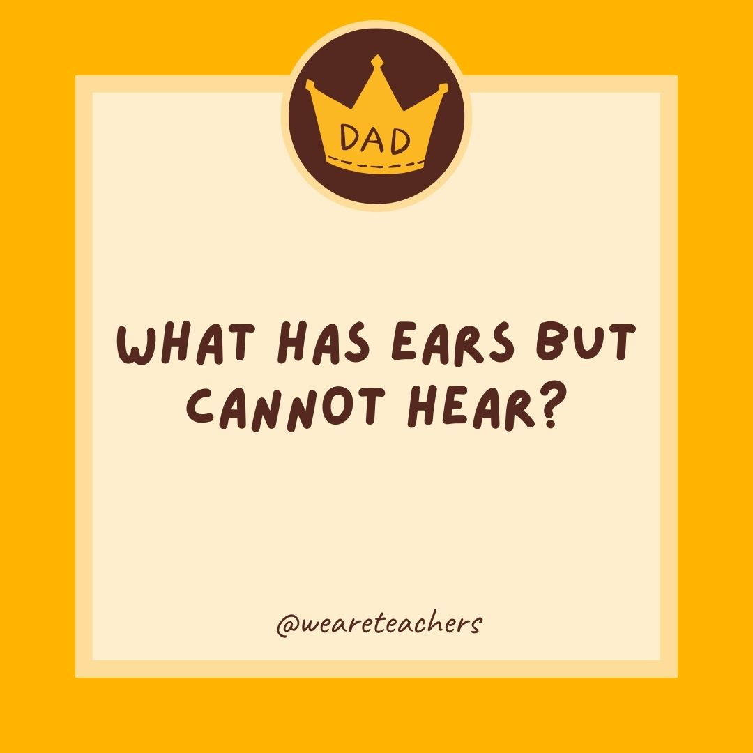 What has ears but cannot hear?
- dad jokes for kids