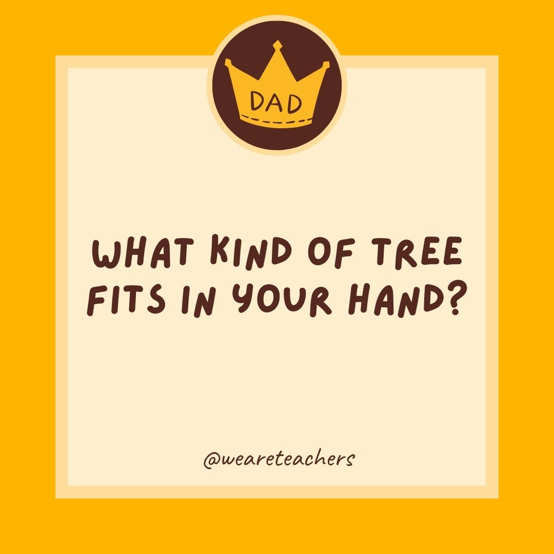 What kind of tree fits in your hand?

