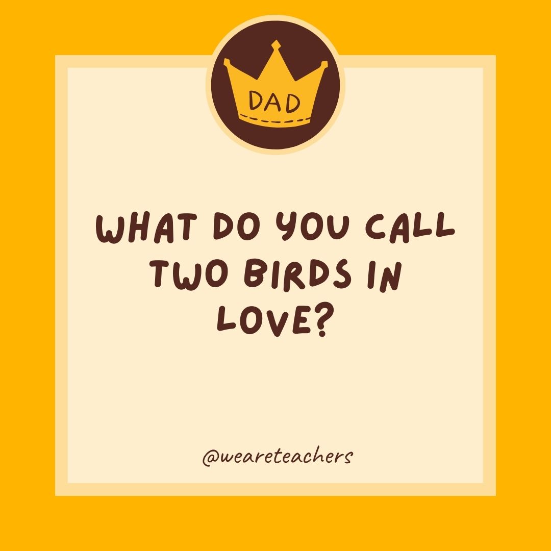 What do you call two birds in love?
