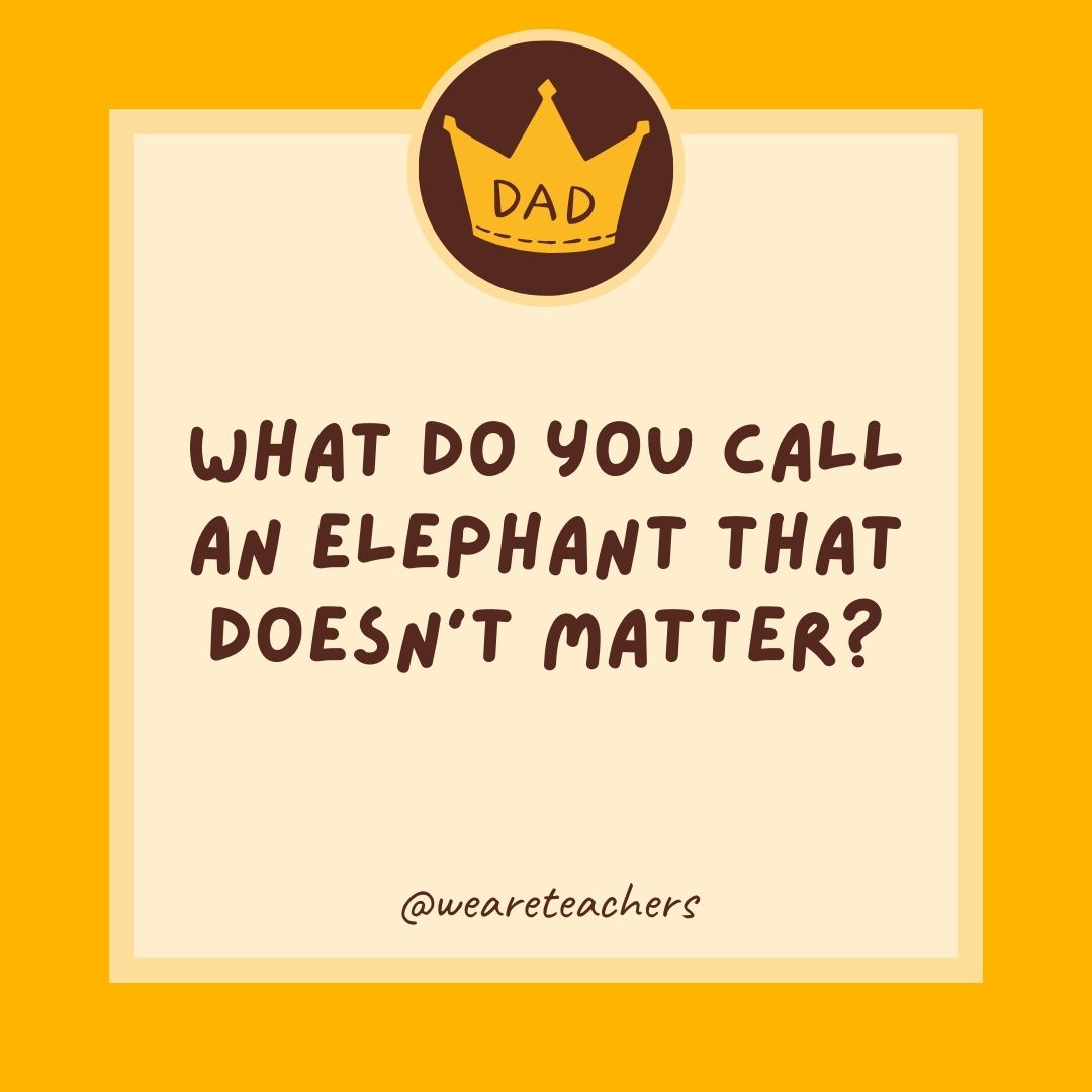 What do you call an elephant that doesn't matter?
- dad jokes for kids