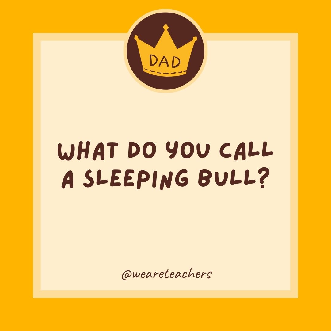 What do you call a sleeping bull?
