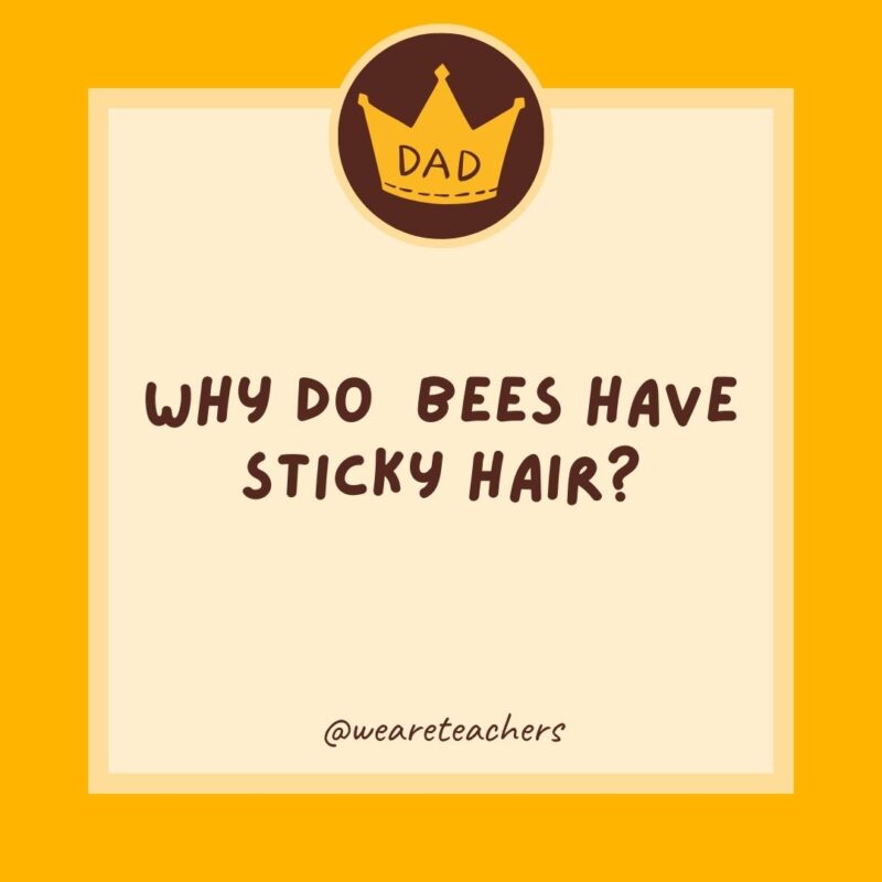 Why do bees have sticky hair?