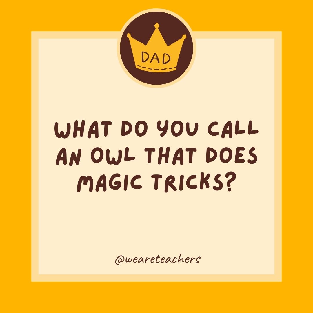What do you call an owl that does magic tricks?
