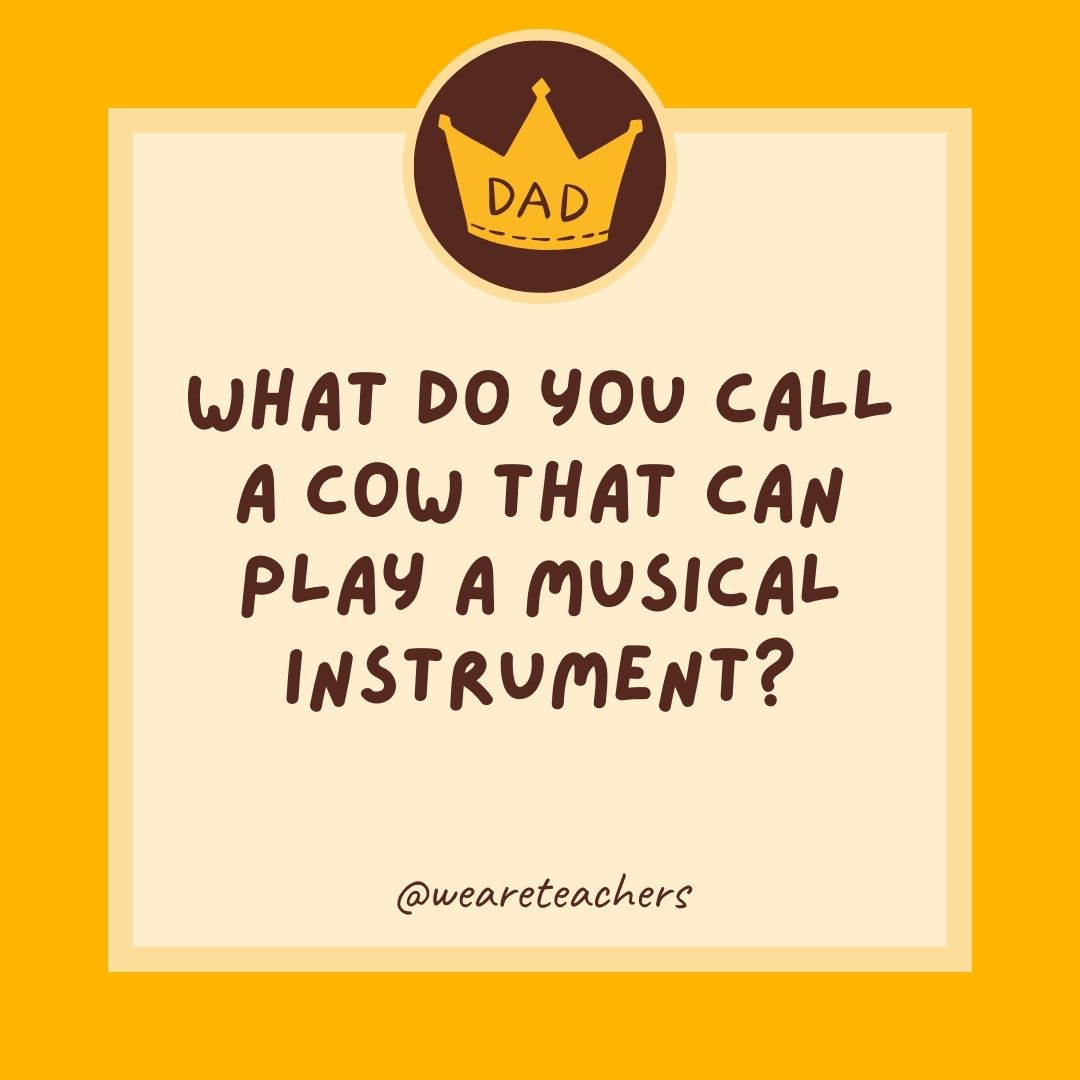 What do you call a cow that can play a musical instrument?
