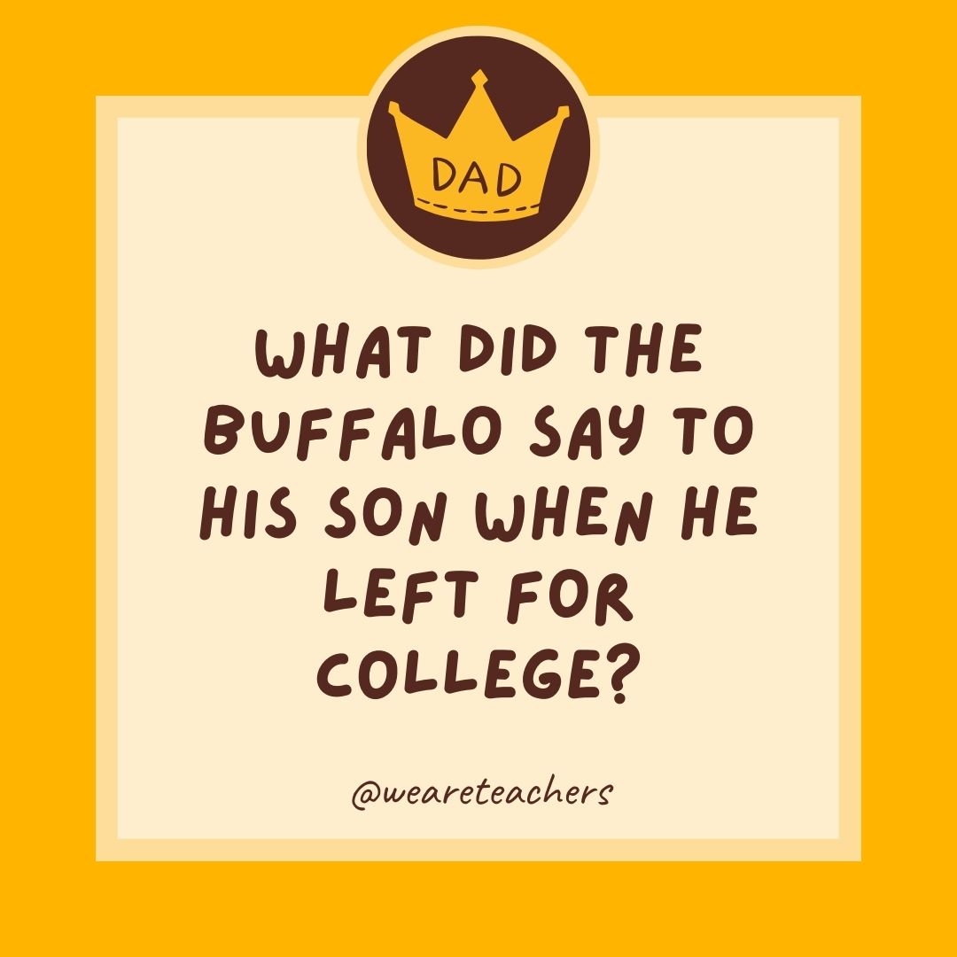 What did the buffalo say to his son when he left for college?
