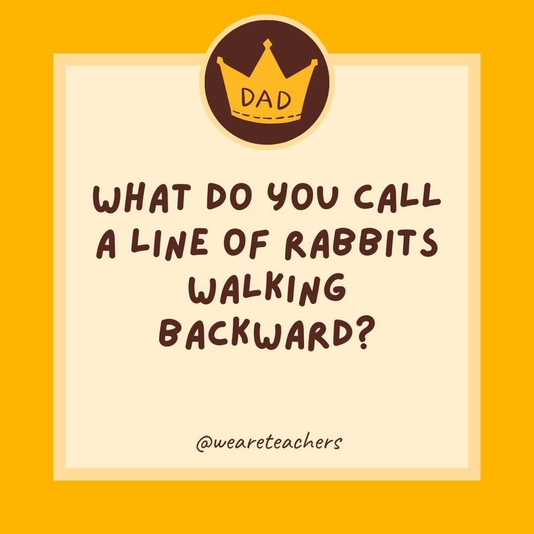What do you call a line of rabbits walking backward?
