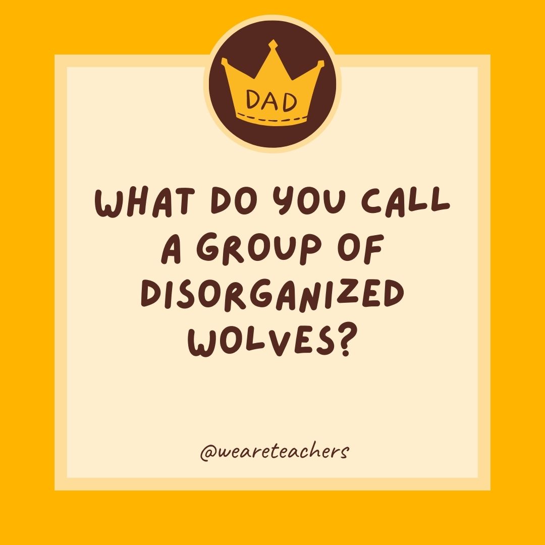 What do you call a group of disorganized wolves?
