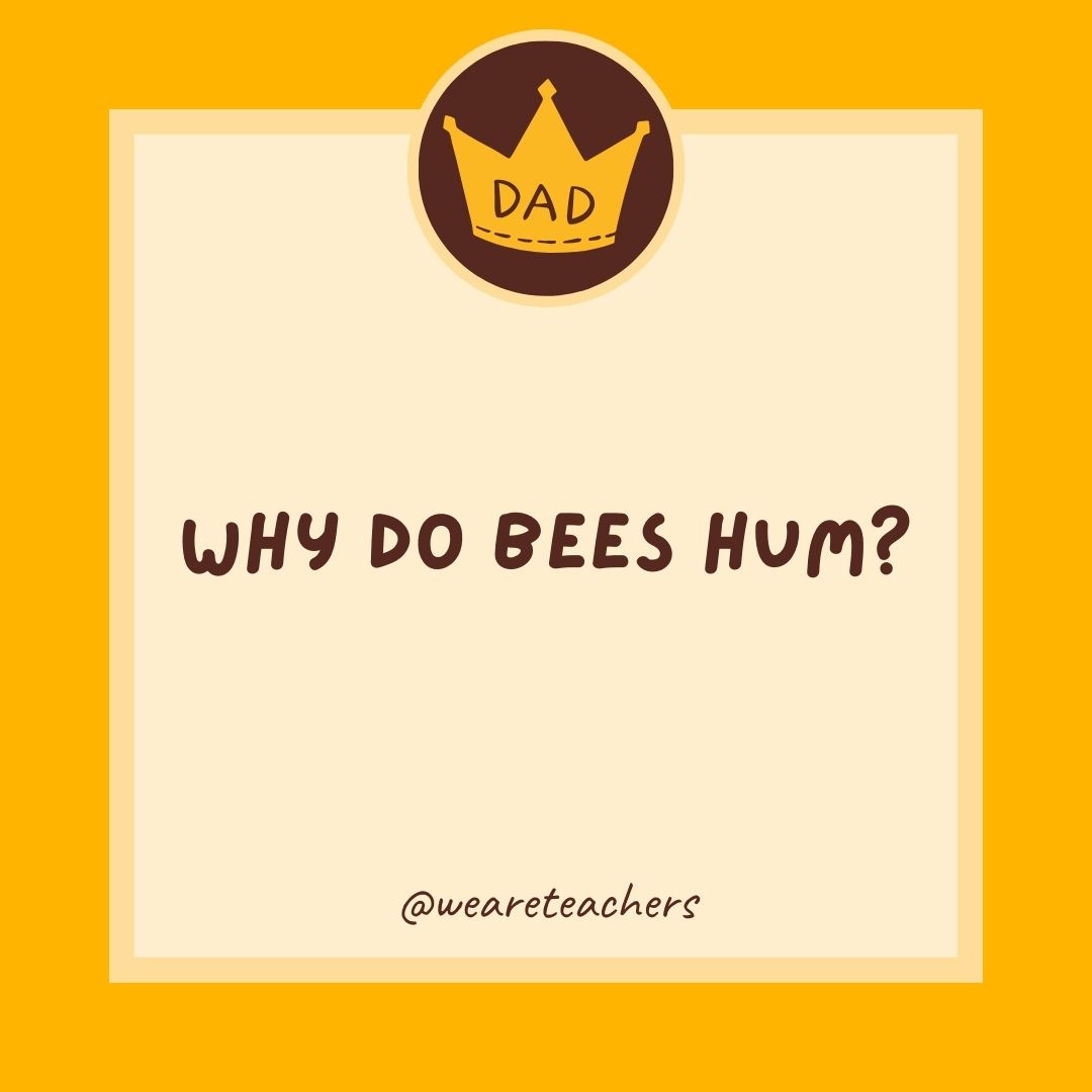 Why do bees hum?
