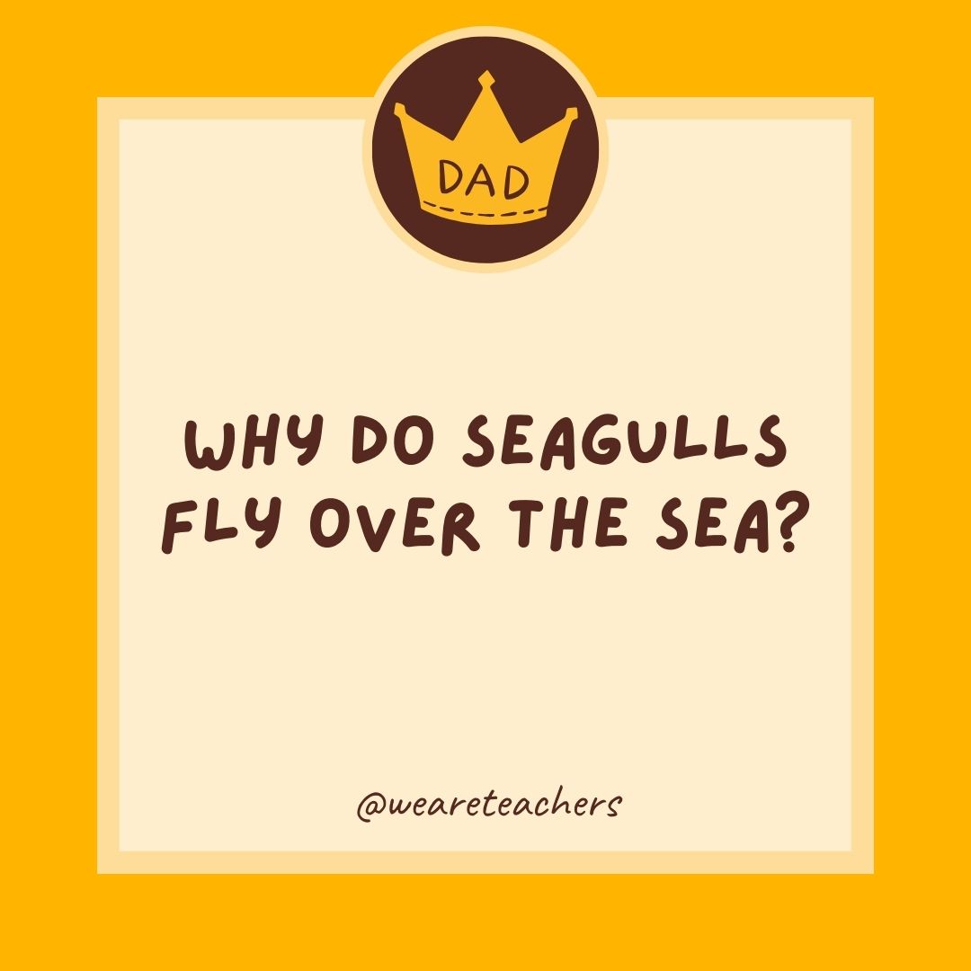 Why do seagulls fly over the sea?
