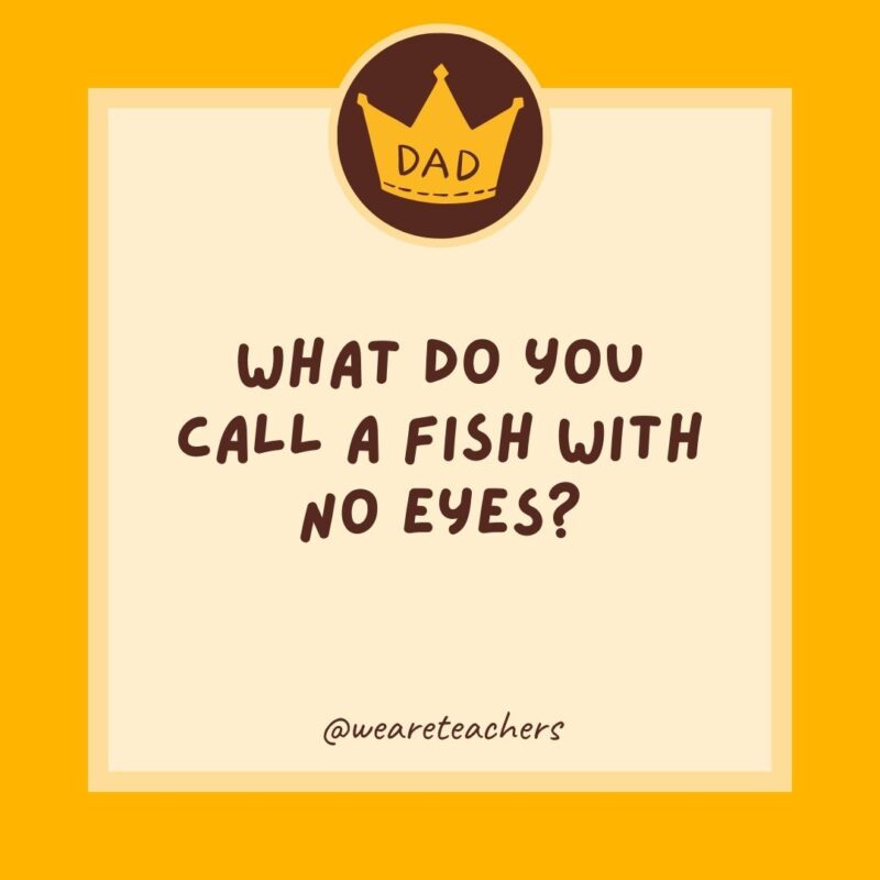 What do you call a fish with no eyes?