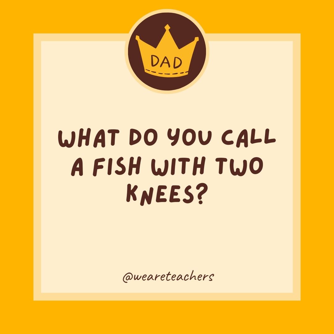 What do you call a fish with two knees?
- dad jokes for kids