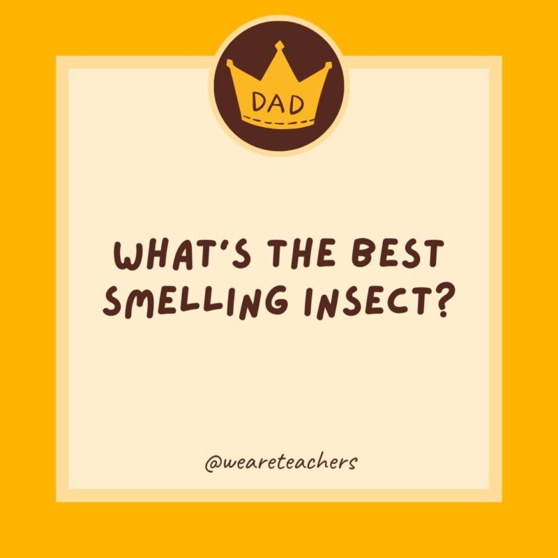 What's the best-smelling insect?