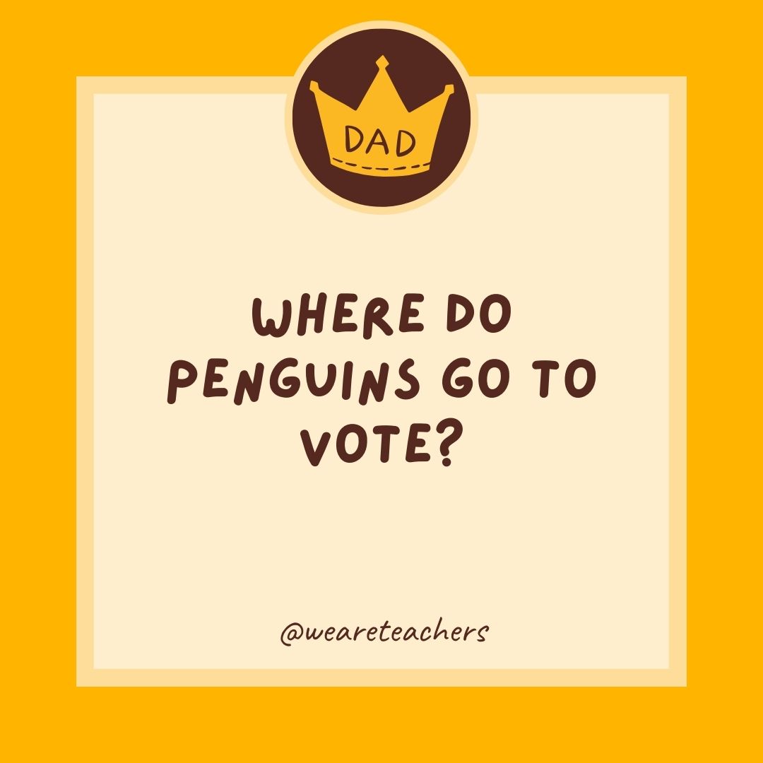 Where do penguins go to vote?
