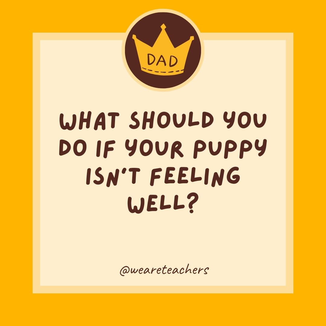 What should you do if your puppy isn't feeling well?
- dad jokes for kids