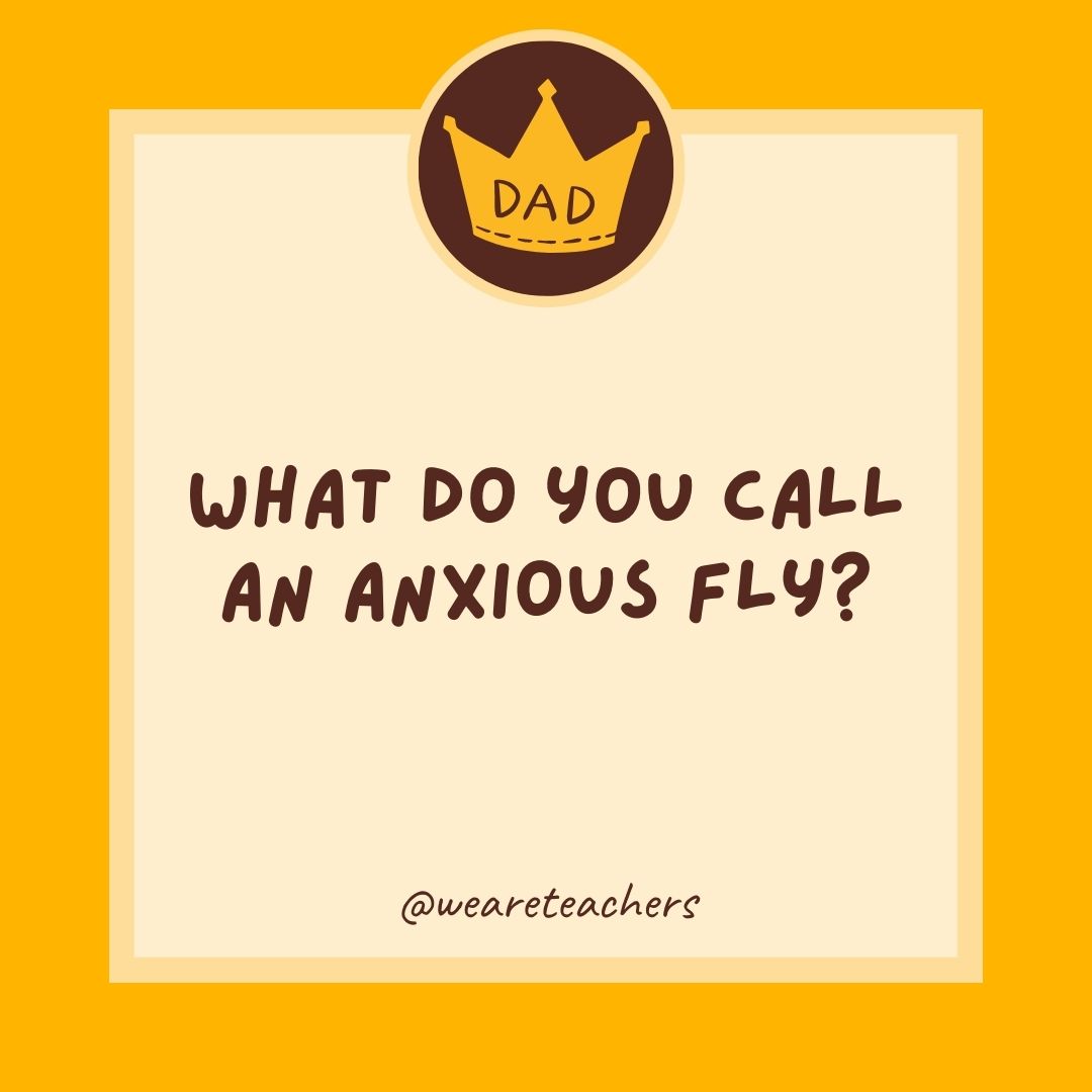 What do you call an anxious fly?
- dad jokes for kids