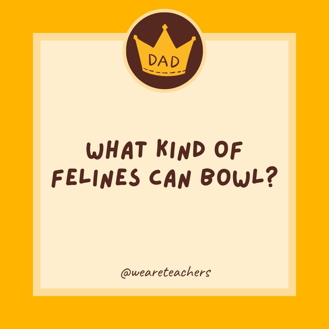 What kind of felines can bowl?
- dad jokes for kids